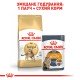Royal Canin Bengal Adult Сухий корм для дорослих котів Бенгальської породи 2кг