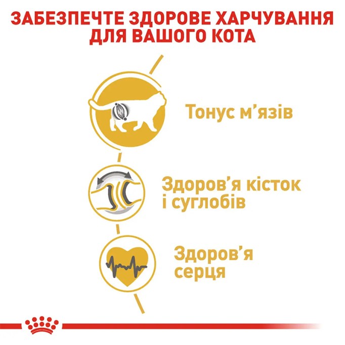 Royal Canin British Shorthair Adult Сухий корм для дорослих котів породи Британська короткошерста 2 кг