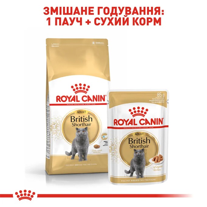 Royal Canin British Shorthair Adult Сухий корм для дорослих котів породи Британська короткошерста 2 кг
