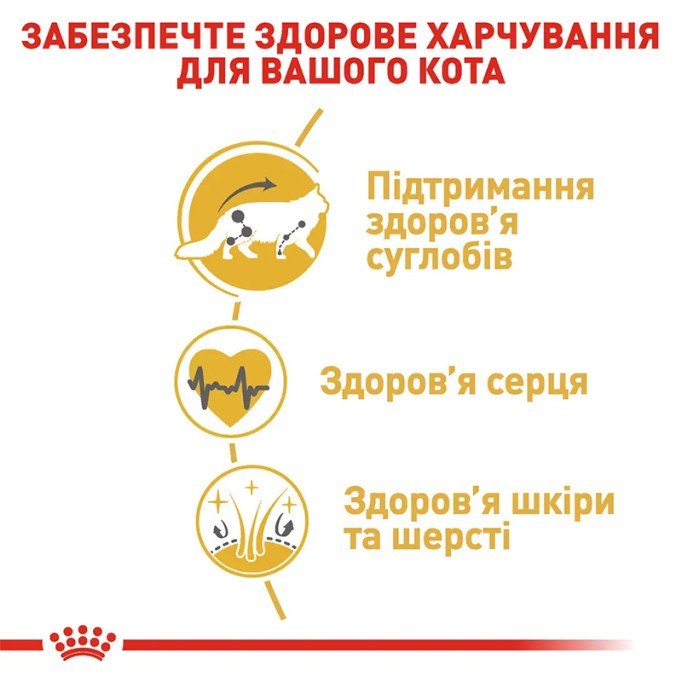 Royal Canin Maine Coon Adult Сухий корм для дорослих котів породи Мейн-Кун 10 кг