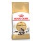 Royal Canin Maine Coon Adult Сухий корм для дорослих котів породи Мейн-Кун 4 кг