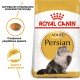 Royal Canin Persian Adult Сухий корм для дорослих котів Персидської породи 2 кг