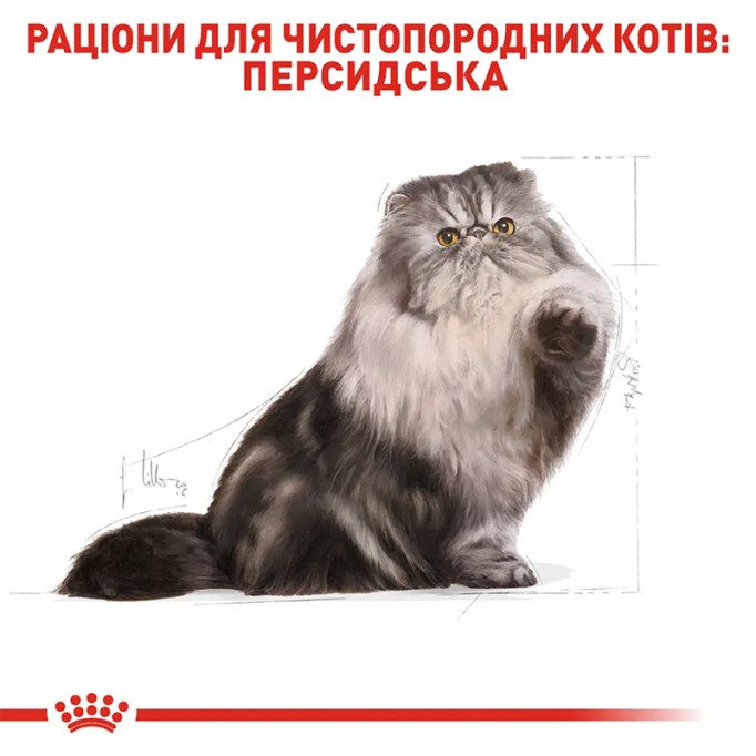 Royal Canin Persian Adult Сухий корм для дорослих котів Персидської породи 4 кг