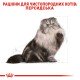 Royal Canin Persian Adult Сухий корм для дорослих котів Персидської породи 4 кг