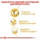 Royal Canin Siamese Adult Сухий корм для дорослих котів Сіамської породи 400 г