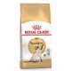 Royal Canin Siamese Adult Сухий корм для дорослих котів Сіамської породи 400 г