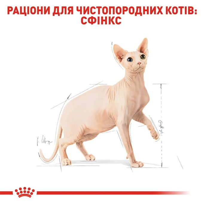 Royal Canin Sphynx Adult Сухий корм для дорослих котів породи Сфінкс 10 кг