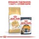 Royal Canin Sphynx Adult Сухий корм для дорослих котів породи Сфінкс 10 кг