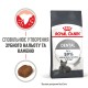 Royal Canin Dental Care Сухий корм для запобігання зубного нальоту дорослих котів 1,5кг