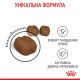 Royal Canin Dental Care Сухий корм для запобігання зубного нальоту дорослих котів 1,5кг
