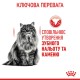 Royal Canin Dental Care Сухий корм для запобігання зубного нальоту дорослих котів 400 г