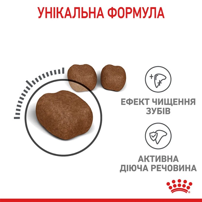 Royal Canin Dental Care Сухий корм для запобігання зубного нальоту дорослих котів 8 кг