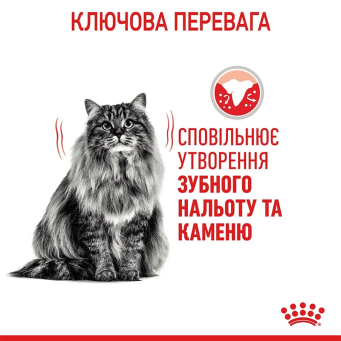 Royal Canin Dental Care Сухий корм для запобігання зубного нальоту дорослих котів 8 кг