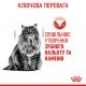Royal Canin Dental Care Сухий корм для запобігання зубного нальоту дорослих котів 8 кг