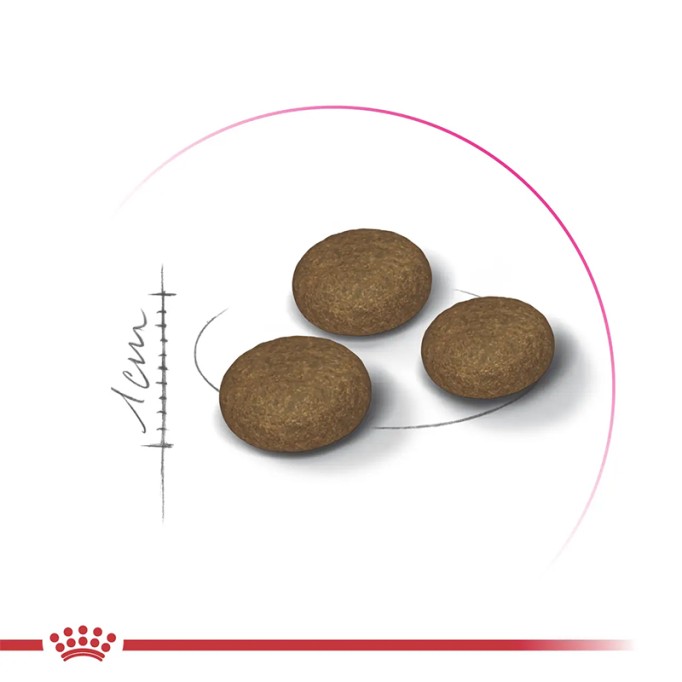 Royal Canin Exigent Fussy Сухий корм для дорослих котів вибагливих до їжі 400 г