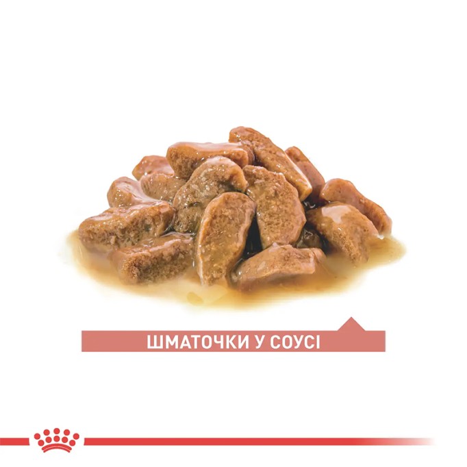 Royal Canin Ageing Gravi 11+ Вологий корм для літніх котів віком від 11 років (шматочки у соусі) 85 г 12 шт