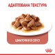 Royal Canin Appetite Control Care Gravi Вологий корм для дорослих котів схильних до набору зайвої ваги, в тому числі після стерилізації (шматочки у соусі) 85 г 12 шт