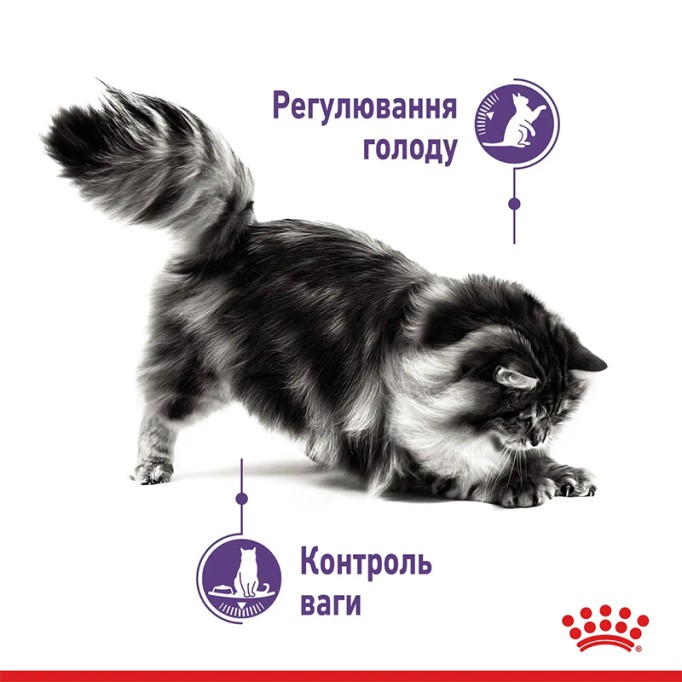 Royal Canin Appetite Control Care Gravi Вологий корм для дорослих котів схильних до набору зайвої ваги, в тому числі після стерилізації (шматочки у соусі) 85 г 12 шт