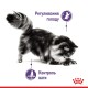 Royal Canin Appetite Control Care Gravi Вологий корм для дорослих котів схильних до набору зайвої ваги, в тому числі після стерилізації (шматочки у соусі) 85 г 12 шт