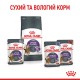 Royal Canin Appetite Control Care Gravi Вологий корм для дорослих котів схильних до набору зайвої ваги, в тому числі після стерилізації (шматочки у соусі) 85 г 12 шт