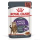 Royal Canin Appetite Control Care Gravi Вологий корм для дорослих котів схильних до набору зайвої ваги, в тому числі після стерилізації (шматочки у соусі) 85 г 12 шт