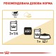 Royal Canin British Shorthair Adult Вологий корм для дорослих котів породи Британська короткошерста (шматочки у соусі) 85 г 12 шт