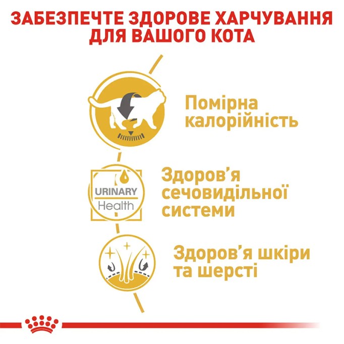 Royal Canin British Shorthair Adult Вологий корм для дорослих котів породи Британська короткошерста (шматочки у соусі) 85 г 12 шт