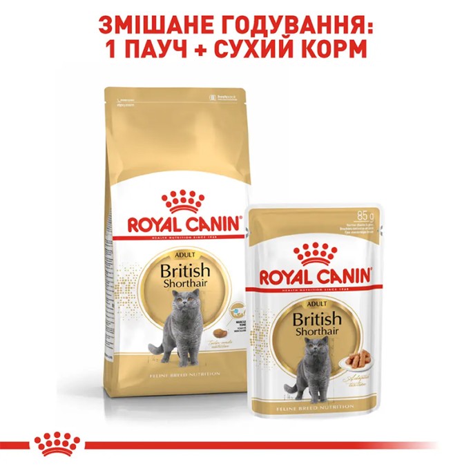 Royal Canin British Shorthair Adult Вологий корм для дорослих котів породи Британська короткошерста (шматочки у соусі) 85 г 12 шт