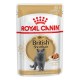 Royal Canin British Shorthair Adult Вологий корм для дорослих котів породи Британська короткошерста (шматочки у соусі) 85г 12шт