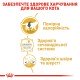 Royal Canin British Shorthair Adult Вологий корм для дорослих котів породи Британська короткошерста (шматочки у соусі) 85г 12шт
