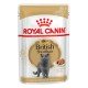 Royal Canin British Shorthair Adult Вологий корм для дорослих котів породи Британська короткошерста (шматочки у соусі) 85 г 12 шт