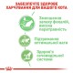 Royal Canin Digestive Sensitive Care Gravi Вологий корм для поліпшення травлення дорослих котів (шматочки у соусі) 85 г 12 шт