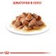 Royal Canin Digestive Sensitive Care Gravi Вологий корм для поліпшення травлення дорослих котів (шматочки у соусі) 85 г 12 шт