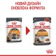 Royal Canin Hair & Skin Care Gravi Вологий корм для здоров'я шкіри та краси шерсті дорослих котів (шматочки у соусі) 85 г 12 шт