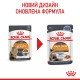 Royal Canin Hair & Skin Care Jelly Вологий корм для здоров'я шкіри та краси шерсті дорослих котів (шматочки в желе) 85 г 12 шт