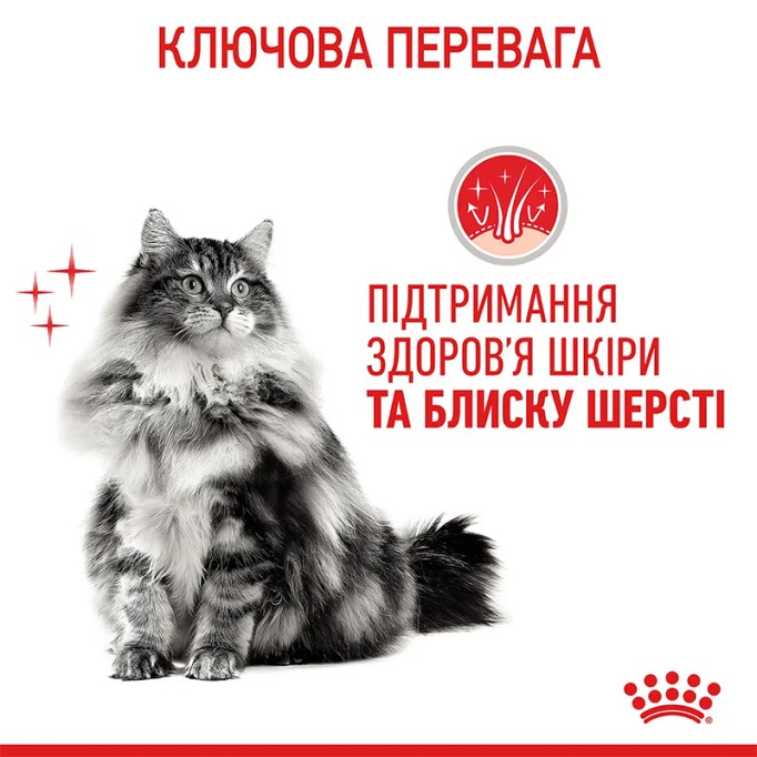 Royal Canin Hair & Skin Care Gravi Вологий корм для здоров'я шкіри та краси шерсті дорослих котів (шматочки у соусі) 85г 12шт