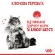 Royal Canin Hair & Skin Care Gravi Вологий корм для здоров'я шкіри та краси шерсті дорослих котів (шматочки у соусі) 85г 12шт