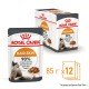 Royal Canin Hair & Skin Care Gravi Вологий корм для здоров'я шкіри та краси шерсті дорослих котів (шматочки у соусі) 85г 12шт