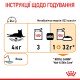 Royal Canin Hair & Skin Care Jelly Вологий корм для здоров'я шкіри та краси шерсті дорослих котів (шматочки в желе) 85 г 12 шт