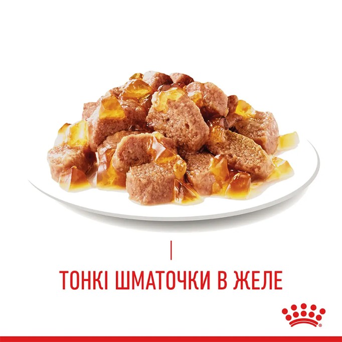 Royal Canin Hair & Skin Care Jelly Вологий корм для здоров'я шкіри та краси шерсті дорослих котів (шматочки в желе) 85г 12шт