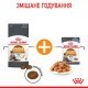 Royal Canin Hair & Skin Care Jelly Вологий корм для здоров'я шкіри та краси шерсті дорослих котів (шматочки в желе) 85г 12шт