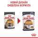 Royal Canin Hair & Skin Care Jelly Вологий корм для здоров'я шкіри та краси шерсті дорослих котів (шматочки в желе) 85г 12шт