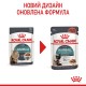 Royal Canin Hairball Care Gravi Вологий корм для виведення шерсті із шлунку дорослих котів (шматочки у соусі) 85 г 12 шт