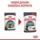Royal Canin Hairball Care Gravi Вологий корм для виведення шерсті із шлунку дорослих котів (шматочки у соусі) 85г 12шт