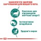 Royal Canin Instinctive Gravi 7+ Вологий корм для дорослих котів віком від 7 років (шматочки у соусі) 85 г 12 шт