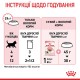 Royal Canin Kitten Gravi Вологий корм для кошенят (шматочки у соусі) 85г 12шт