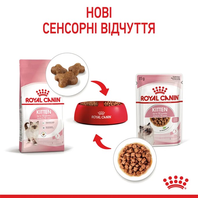 Royal Canin Kitten Gravi Вологий корм для кошенят (шматочки у соусі) 85 г 12 шт