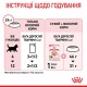 Royal Canin Kitten Jelly Вологий корм для кошенят (шматочки в желе) 85г 12шт