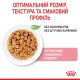 Royal Canin Kitten Jelly Вологий корм для кошенят (шматочки в желе) 85 г 12 шт
