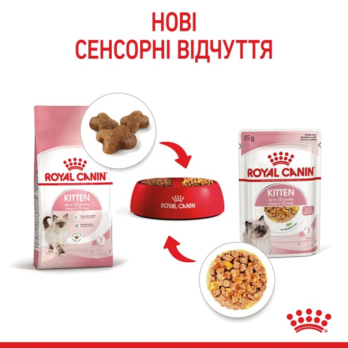 Royal Canin Kitten Jelly Вологий корм для кошенят (шматочки в желе) 85 г 12 шт